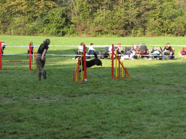 Agility tekma v Kočevju - foto povečava