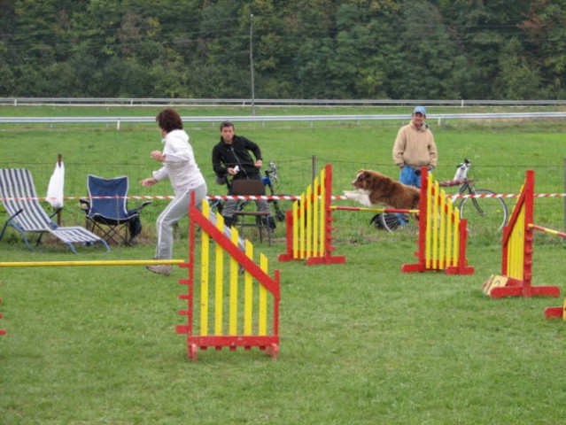 Agility tekma v KD Naklo - foto