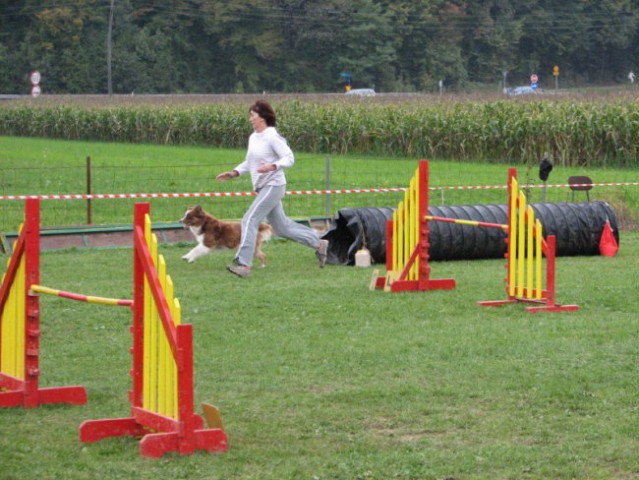 Agility tekma v KD Naklo - foto