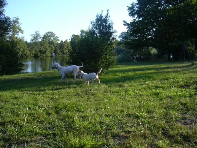 Kolpa bullcamping - foto