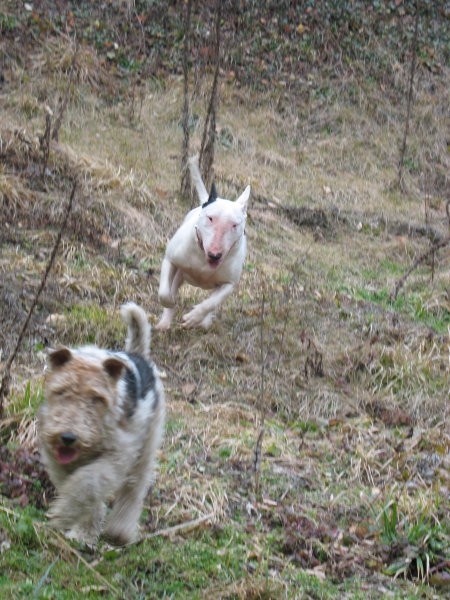 Izlet - foto povečava