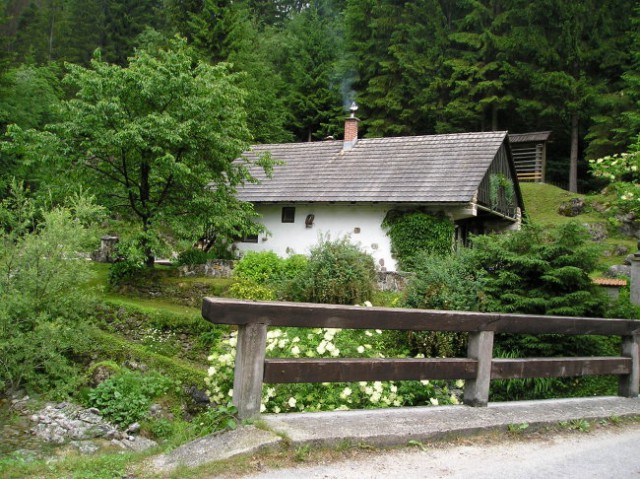 Za prosti čas in užitek - poletje - foto