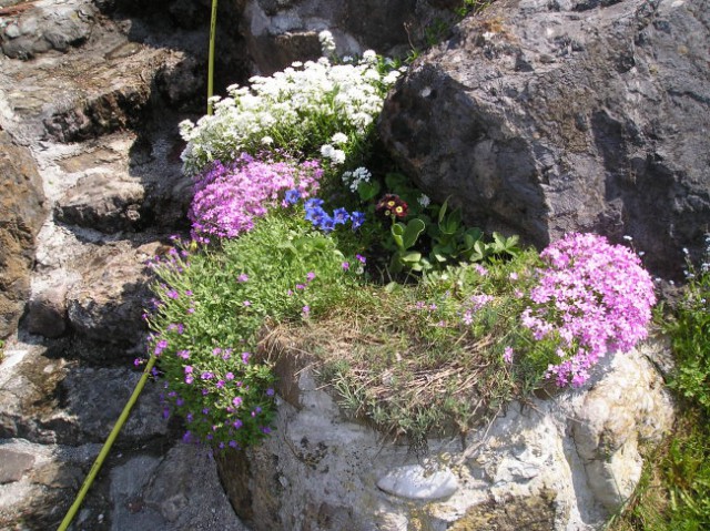 Za prosti čas in užitek - pomlad - foto