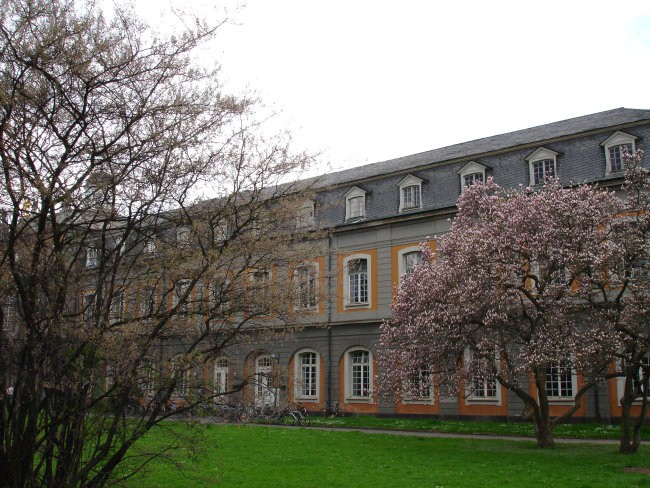 Univerza v Bonnu