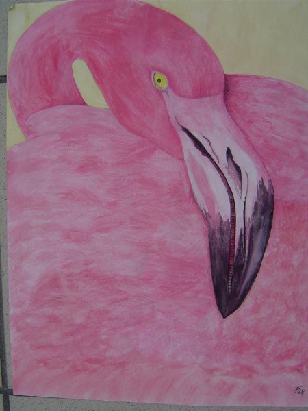 Mojca  - Flamingo