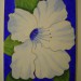 Mojca - Modri hibiskus 50x70 cm