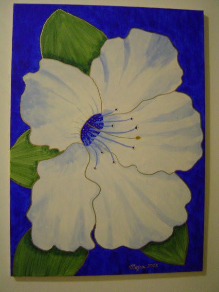 Mojca - Modri hibiskus 50x70 cm