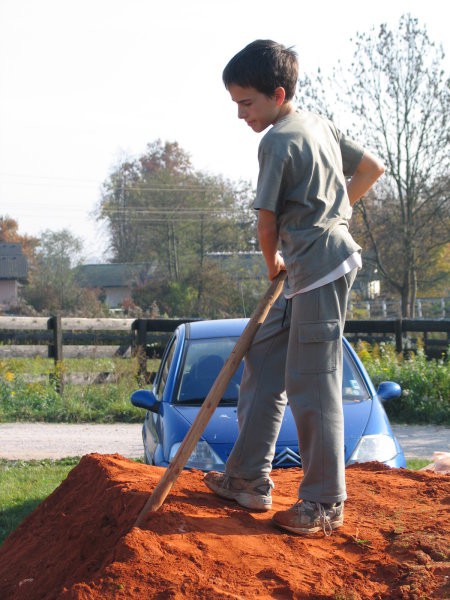 Delovna akcija - foto