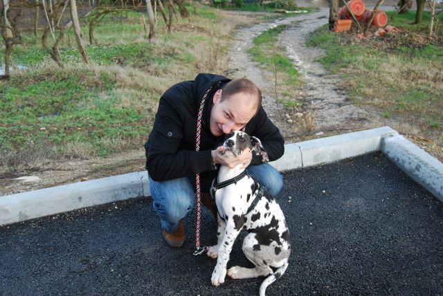 ščeneta - foto