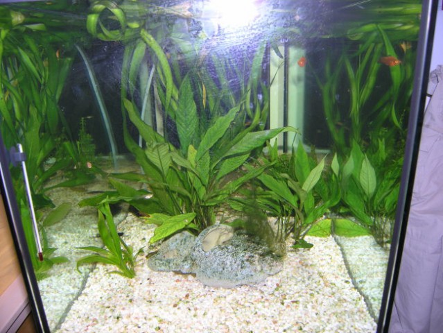 Akvarij 4 cel - foto