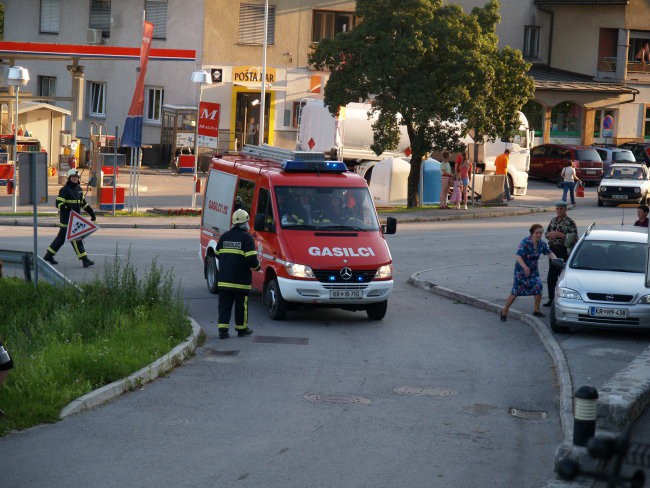 Dolinar - foto povečava