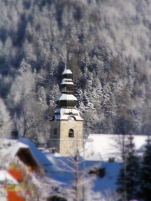 Slovenija, moja dežela - foto