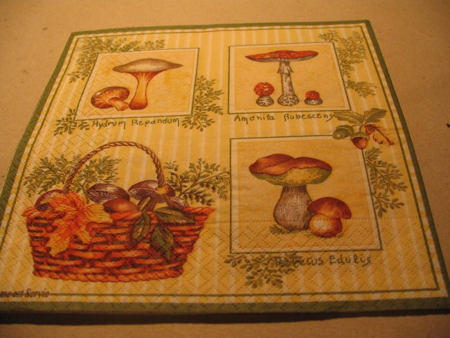 GOBE - foto povečava