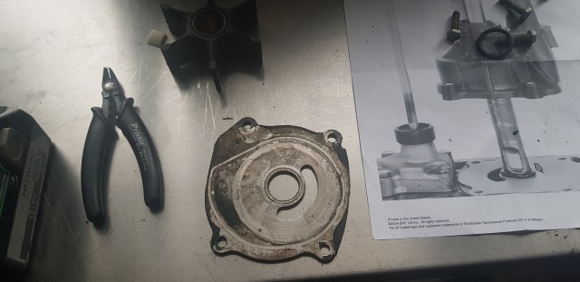 Evinrude Eagle 60° V4 rebuild #2 - foto