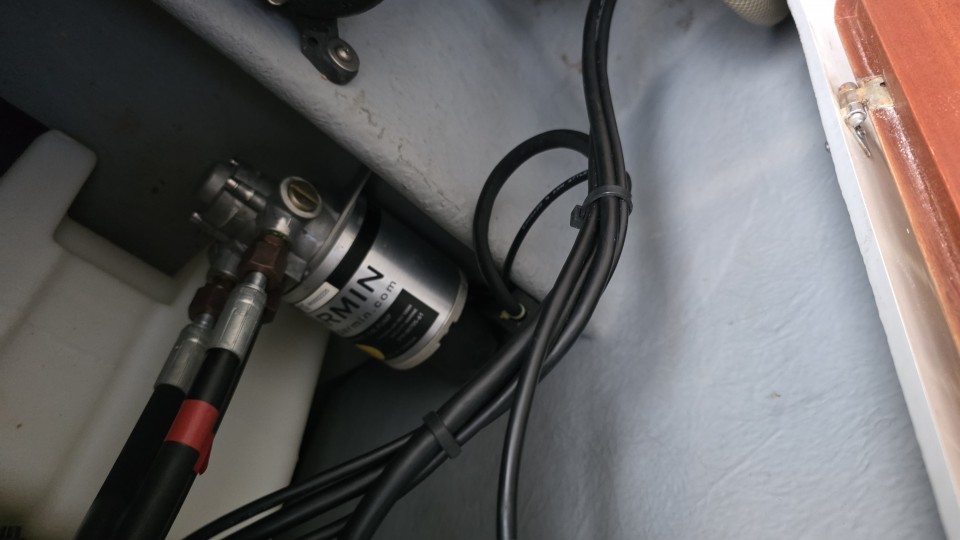 Murje 4 - foto povečava