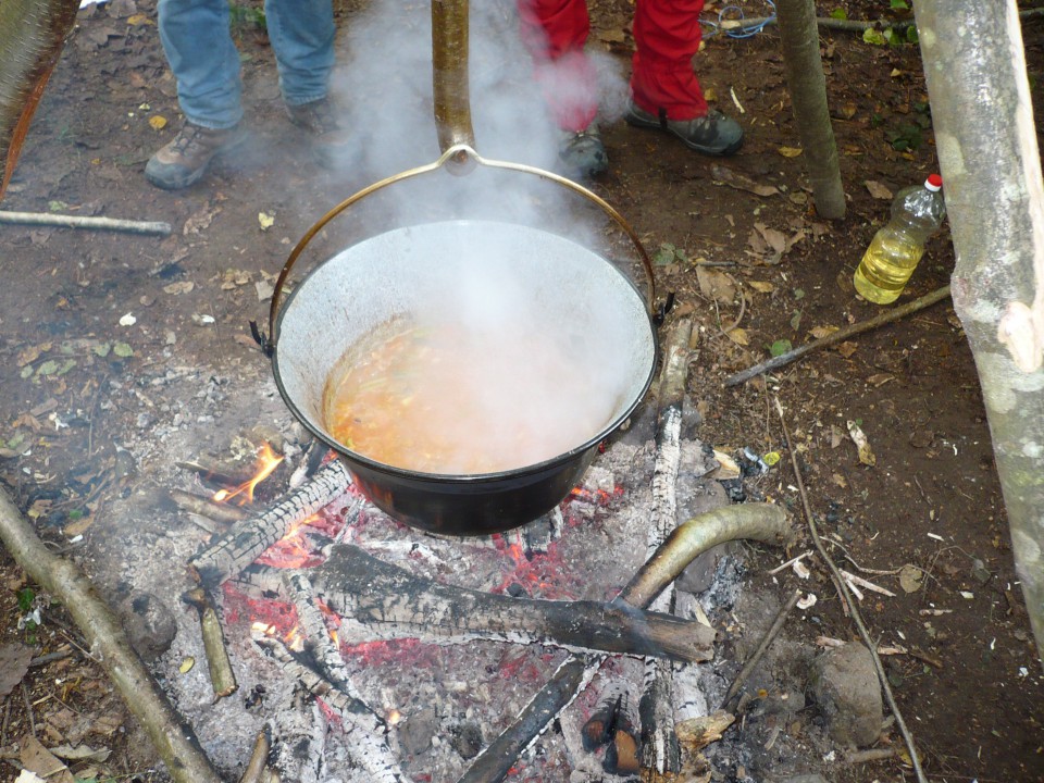 ŽvN 2008 prvi vikend - foto povečava