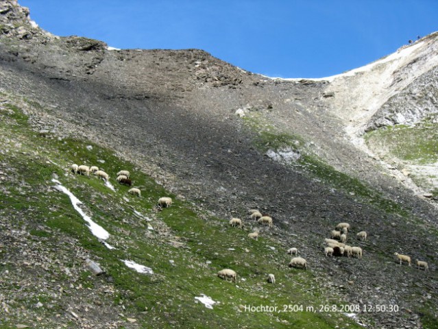 Hohe Tauern - foto