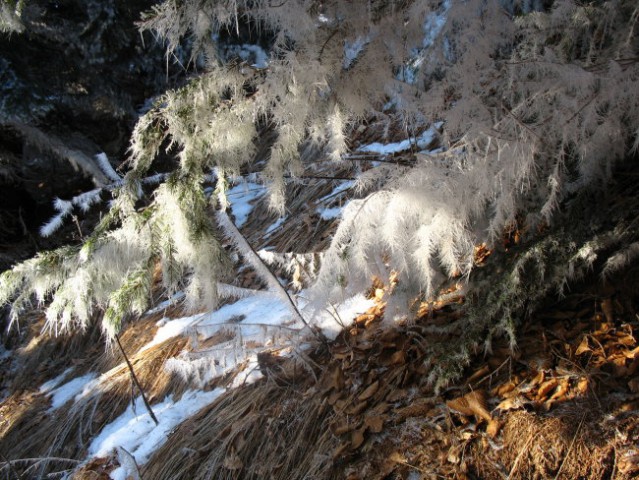 Košutica in planina Korošica nad Ljubeljem - foto