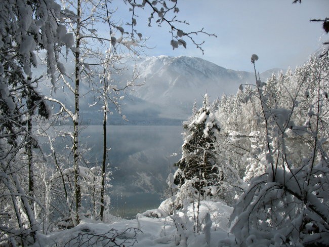 Bohinj - foto povečava