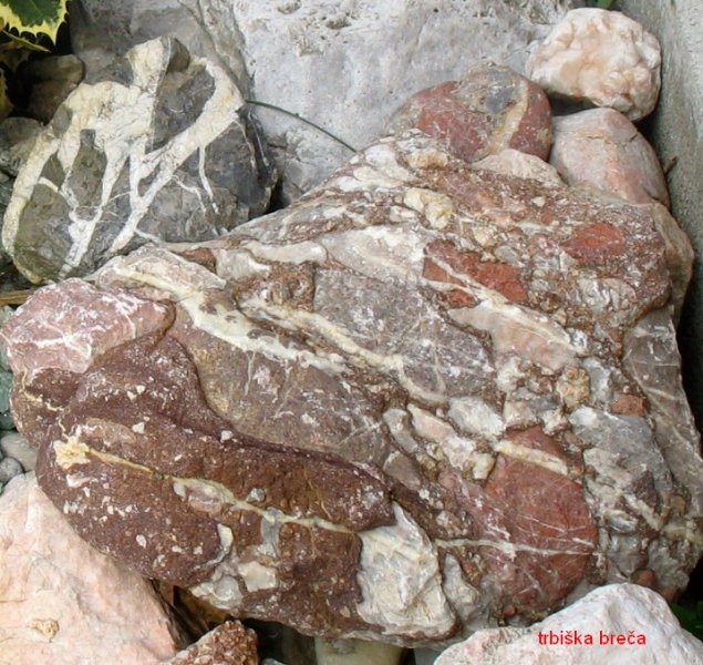 Trbiška breča