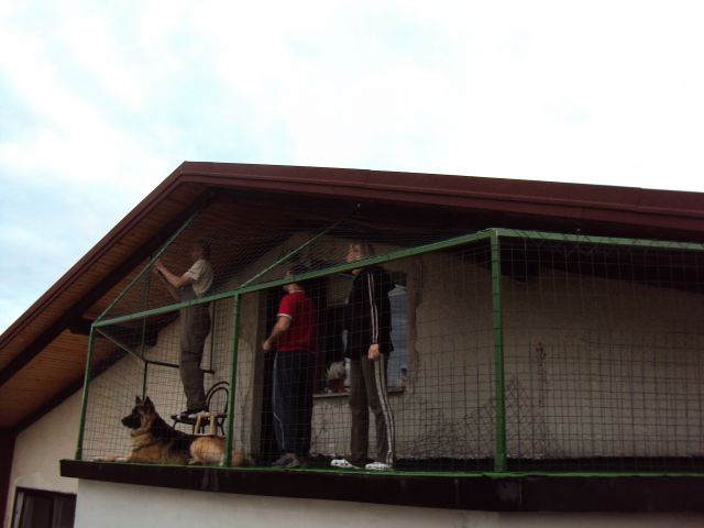 Mačjak oz. zamrežitev balkona :) - foto