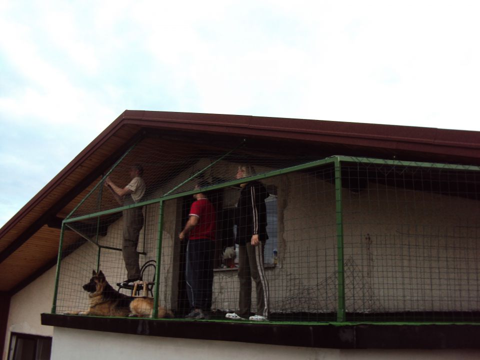 Mačjak oz. zamrežitev balkona :) - foto povečava