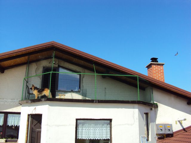 Mačjak oz. zamrežitev balkona :) - foto