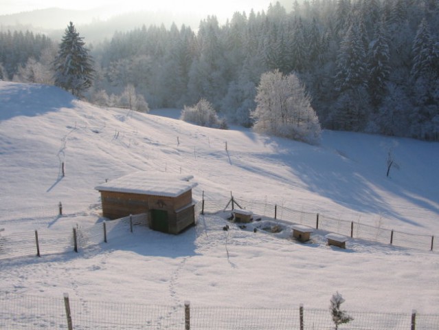 Race in gosi v snegu;
februar 2005
