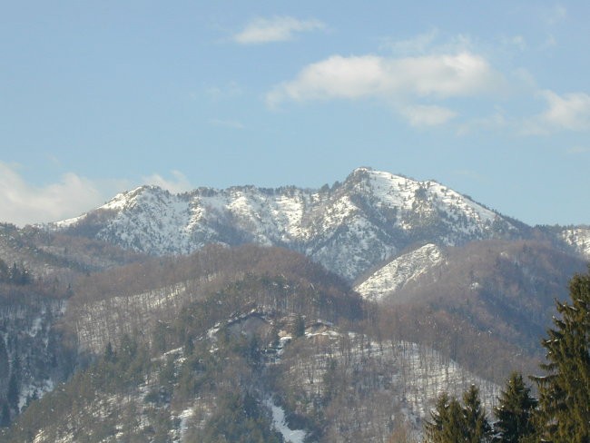 Grmada v snegu;
februar 2003

