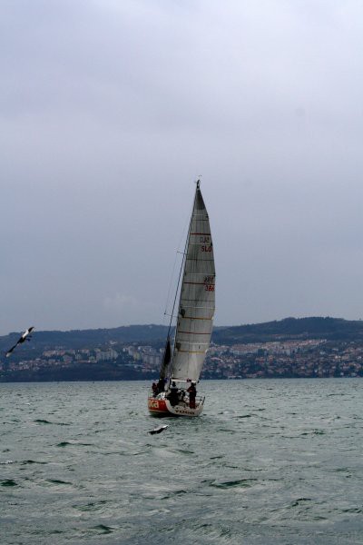 11.ankaranska regata - foto povečava