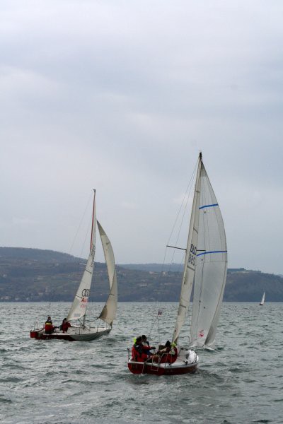 11.ankaranska regata - foto povečava