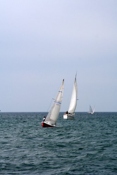 11.ankaranska regata - foto povečava