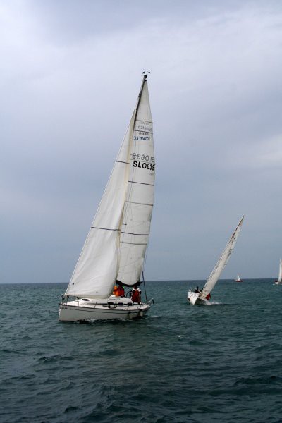 11.ankaranska regata - foto povečava