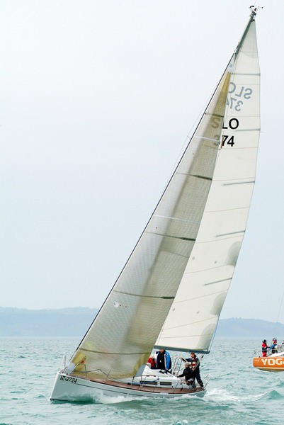 11. regata ankaran foto slejko - foto povečava