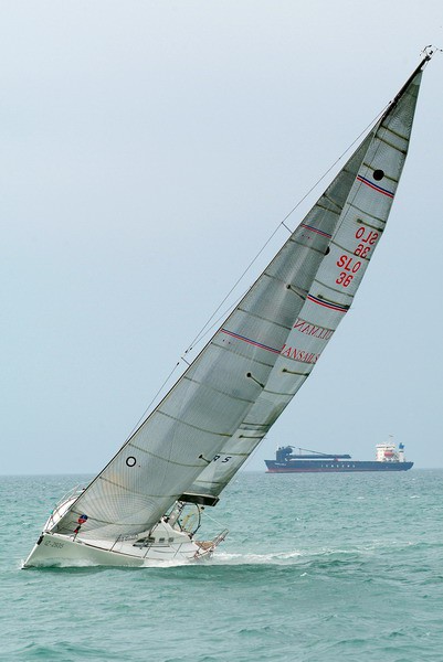 11. regata ankaran foto slejko - foto povečava