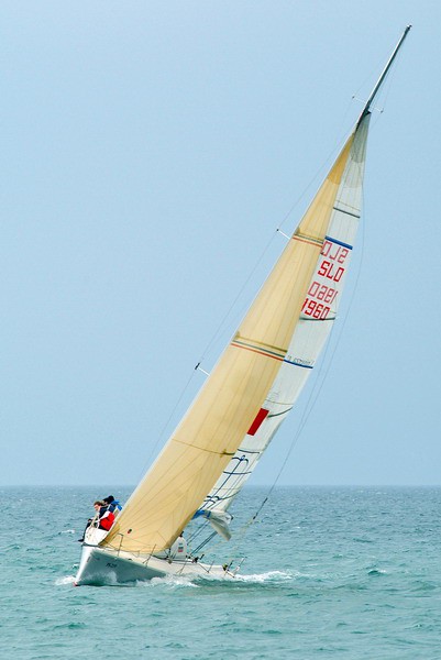 11. regata ankaran foto slejko - foto povečava