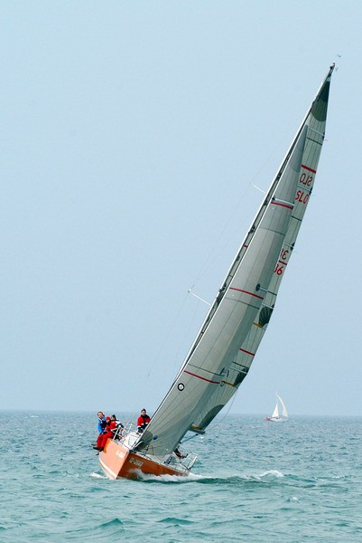 11. regata ankaran foto slejko - foto povečava