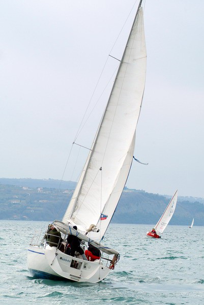 11. regata ankaran foto slejko - foto povečava