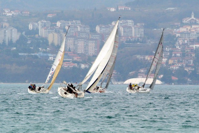 11. regata ankaran foto slejko - foto povečava