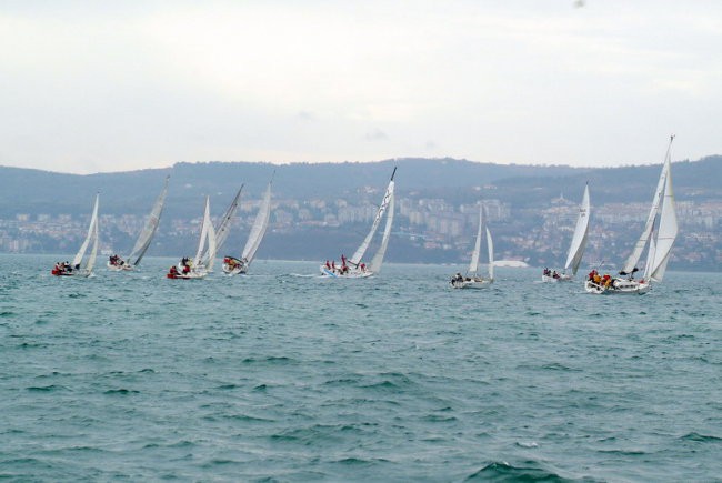 11. regata ankaran foto slejko - foto povečava