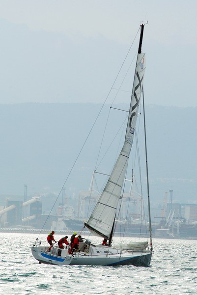 11. regata ankaran foto slejko - foto povečava