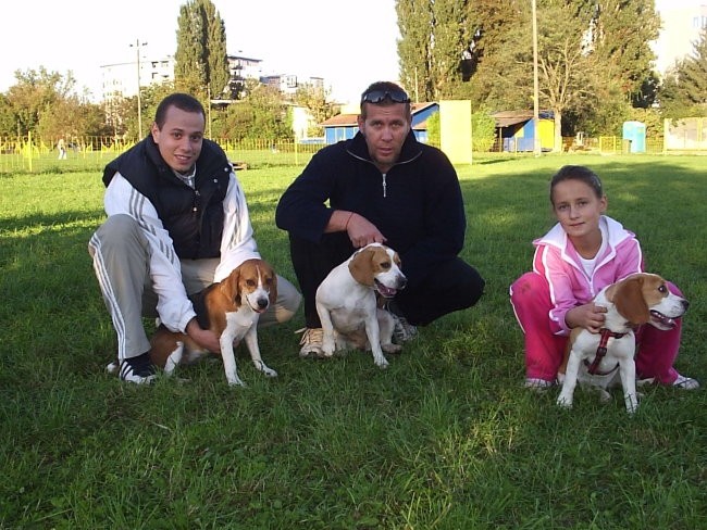 Beagle family - foto povečava