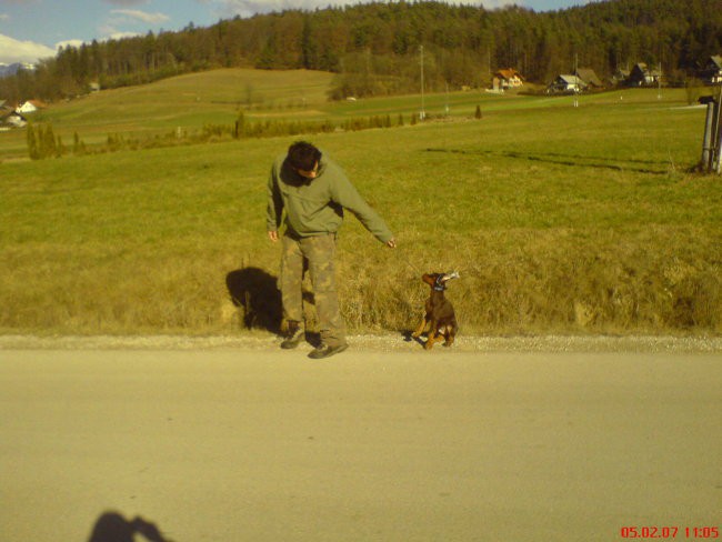 Doby / rox - foto povečava