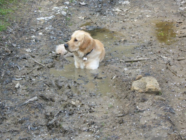 1.maj 2008 - foto povečava