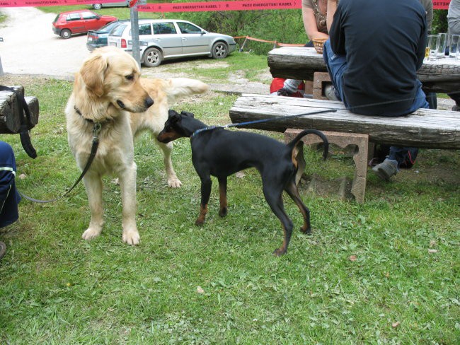 1.maj 2008 - foto povečava