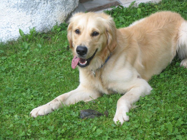 Tobi in Pluto - foto povečava