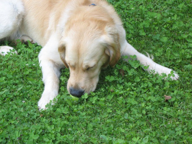 Tobi in Pluto - foto povečava
