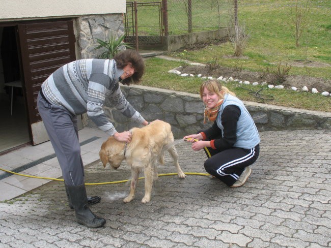 Kopanje - foto povečava