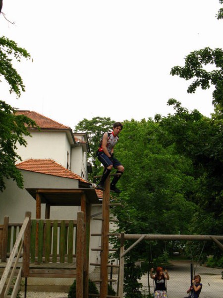 MURSKA S. - FREERIDER - foto