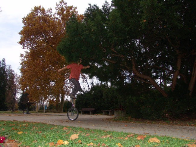 Posebna kolesa za posebneže - foto povečava